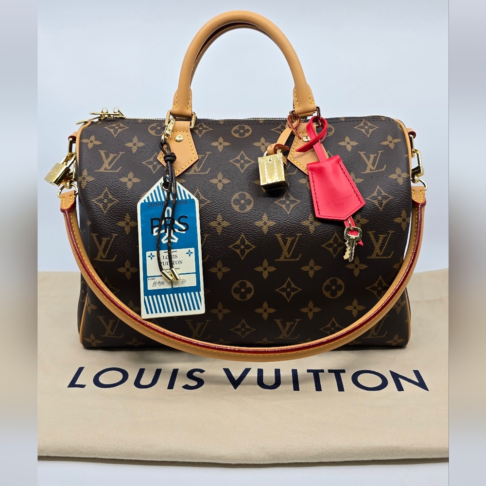 Louis Vuitton Speedy Soft Crafty Monogram 30